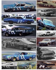 Plastic Performance Products/Powerslide #17 David Pearson Fords 1968-70 decal