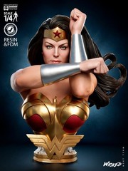 Wonder Woman Kingdom Come Bust model kit unassembled unpainted see Description