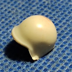 🌟 Vintage Drag Helmet 1:25 or 1:24 Scale 1000s Model Car Parts 4 Sale