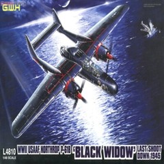 GreatWall 1/48 L4810 Northrop P-61A Black Widow “Last Shoot Down 1945” HOTSALE
