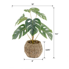 15 “H Artificial Split Leaf in 6” Basket 6X6X4. 25