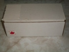 Formula Canada 1/24 Scale Resin Lola T600 Interscope ’82
