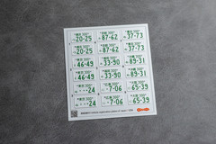 1:24 3D License Plates Detail Set for scale model Japanese Cars