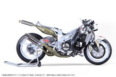 PSL PLATZ BEEMAX Suzuki RGV-Γ (XR79) 1993 WGP500 Champion Model kit BX13001 RZ