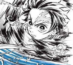 Demon Slayer Tanjiro Kamado TV Anime Original Soundtrack OST Standard Edition