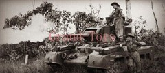 S-Model 1/72 Australia Matilda II “Frog” Flamethrower Tank Finished Model#PP0032