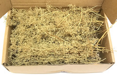 Scene Architectural DIY Model Sand Vegetation Thorns Quinoa Military Materials