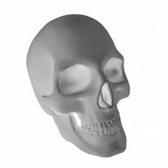 1/48 Scale Skulls 3D Printed Resin Parts for Armor Aircraft Model Dioramas