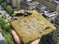 Realistic Moss Grassland Base Model Scene Display