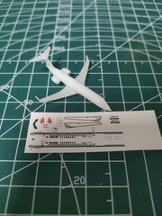 3D Printing 1/700 Chinese C909 Passenger Aircraft Unpainted/1Pc