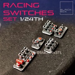 Racing Switches 1/24 Scale
