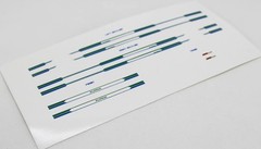 DiOlex DP24188 1/24 3D print resin kit Alpina B9/B10 (BMW E28) with color decals