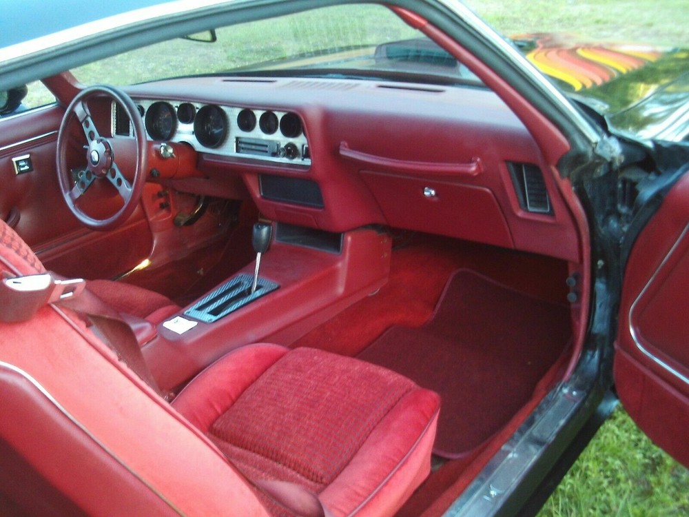 Revell 1/8 1979 Pontiac Firebird Trans Am Full Interior Plush Carpeting Transkit