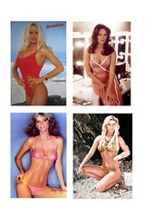 1:18 scale model 1980s pin up signs posters