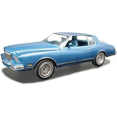 1980 Chevy Monte Carlo Class Action