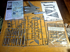 2011 HOBBY BOSS Model F-14B TOMCAT Kit #80277