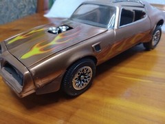 Pro Built Super Detailed Custom paint 1/25 Scale Model. They’re Amazing