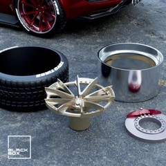 1:25-1:24 Scale Resin S204 Style Rims and Tires With Brakes-Unpainted