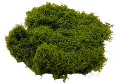 Simulation Landscaping Moss Wool Yarn Turf Green Plant Decoration Scene Material