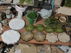 Realistic Moss Grassland Base Model Scene Display