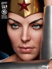 Wonder Woman Kingdom Come Bust model kit unassembled unpainted see Description