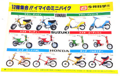 IMAI 1/12 Honda Pal Holiday NC50-IV Tahitian Red Vintage Model Kit Japan New
