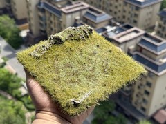 Realistic Moss Grassland Base Model Scene Display
