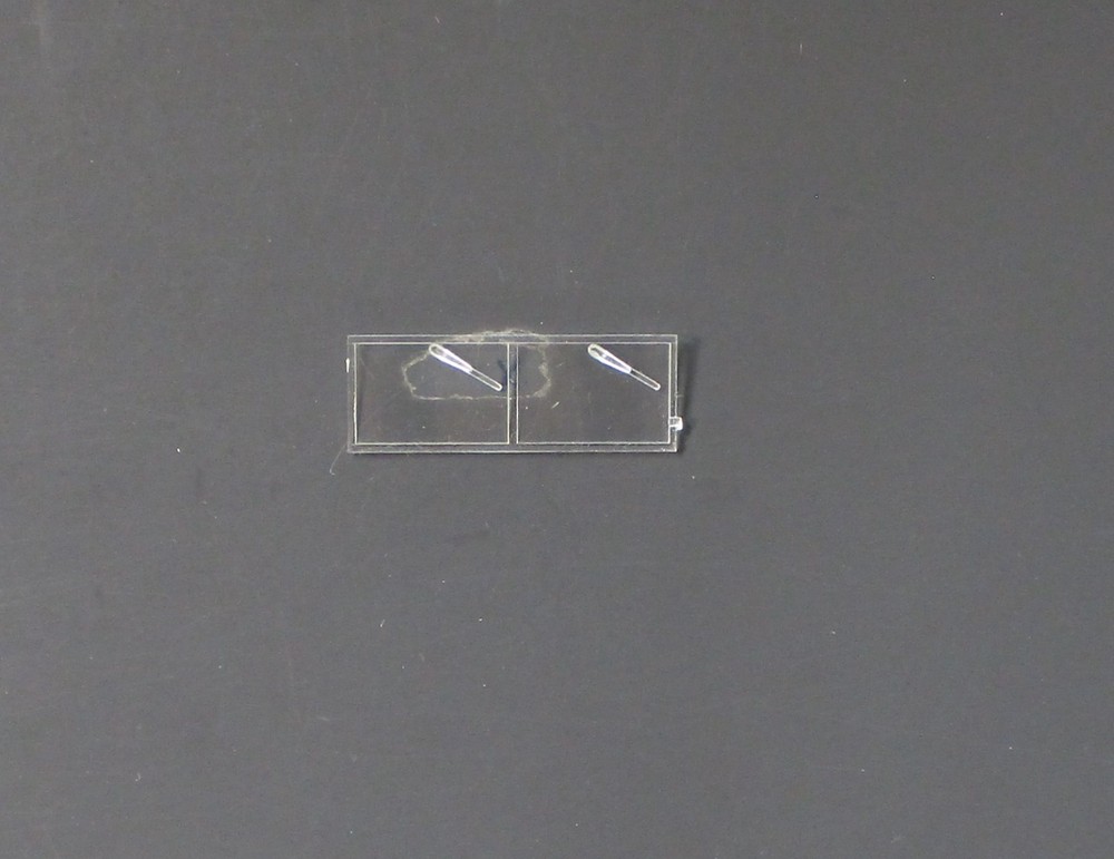 Peerless Max 1/35th Scale Command Vehicle – Clear Part from Kit No. 3505