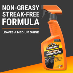 Protectant Car Cleaning Spray, 16 Fl Oz