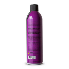 Shine and Protectant Spray Coating for Plastic, Viny, Fiberglass and More