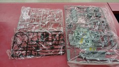 TAMIYA LOTUS25 Collectables 17+