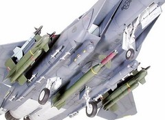 F-15E Strike Eagle “Bunker Buster”