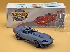 1:25 Corvette Summer Resin Model Kit With Decals, Rubber Tires and Clear Parts