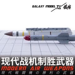 Galaxy 1/48 FW48001-030 Resin Modern Air Weapons Missiles Unpainted Model Kit