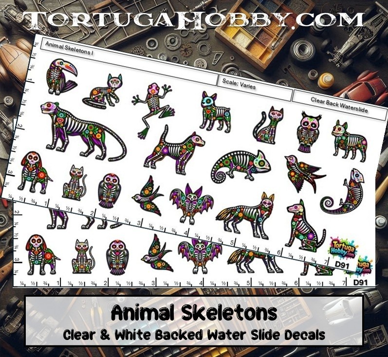 Animal Skeletons – Models, Derby Car or More, Easily Share!
