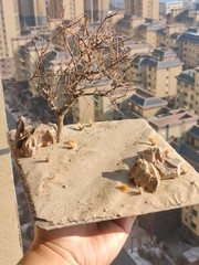 Realistic Moss Grassland Base Model Scene Display