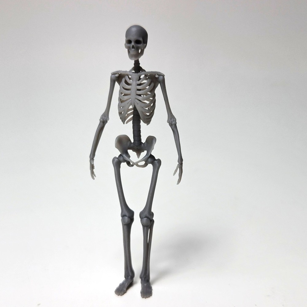 1/24 – 1/25 Scale Detailed Skeletons Figures Resin Parts For Car Models (5 Pack)