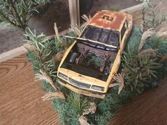 1980’S MONTE CARLO OLD RUSTY RETIRED STOCK CAR SITTIN IN FIELD DIORAMA SCENE !!