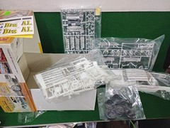 BIG AL AMT Model KING 21877P ALLISON THUNDERLAND THUNDERBIRD 1/25 Model Kit