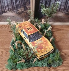 1980’S MONTE CARLO OLD RUSTY RETIRED STOCK CAR SITTIN IN FIELD DIORAMA SCENE !!