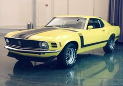 1970 Ford Mustang Boss 302 Stripes 1/18th Scale Waterslide Decals