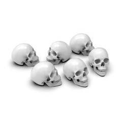 1:25 Set of six head skulls
