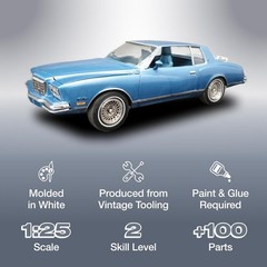 1980 Chevy Monte Carlo Class Action 2T 1:25 Scale Model Kit
