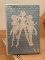 Sailor Moon 1/8 Garage Kit Figure G-PORT Japan