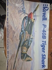 Revell 1:48 Scale P-40B TIGER SHARK COMPLETE SEE PHOTOS