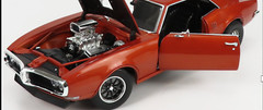 Firebird Pontiac 1967 1969 1970 1973 1977 1:18CUSTOM BUILT12METAL BODY MODEL24