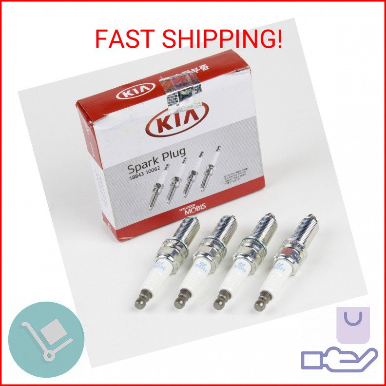 Genuine OEM Kia (Hyundai) NGK Spark Plugs (Pack of 4) 18843-10062