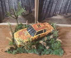 1980’S MONTE CARLO OLD RUSTY RETIRED STOCK CAR SITTIN IN FIELD DIORAMA SCENE !!