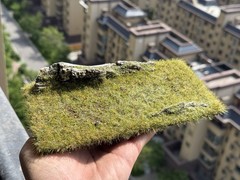 Fake Moss Grass Mat for 1/6 1/12 Soldier Model Diorama Landscape Base Decor