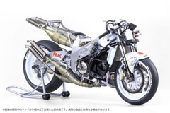 PSL PLATZ BEEMAX Suzuki RGV-Γ (XR79) 1993 WGP500 Champion Model kit BX13001 RZ